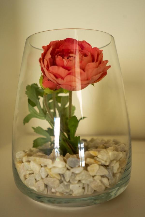 Ilha Douro Duplex Apartment ปอร์โต ภายนอก รูปภาพ