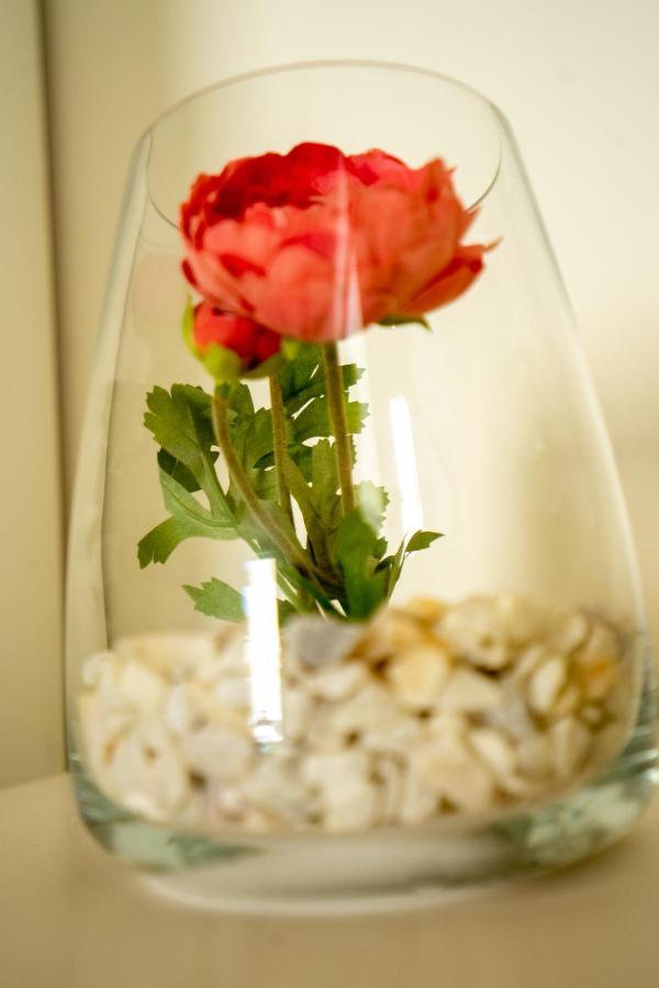 Ilha Douro Duplex Apartment ปอร์โต ภายนอก รูปภาพ